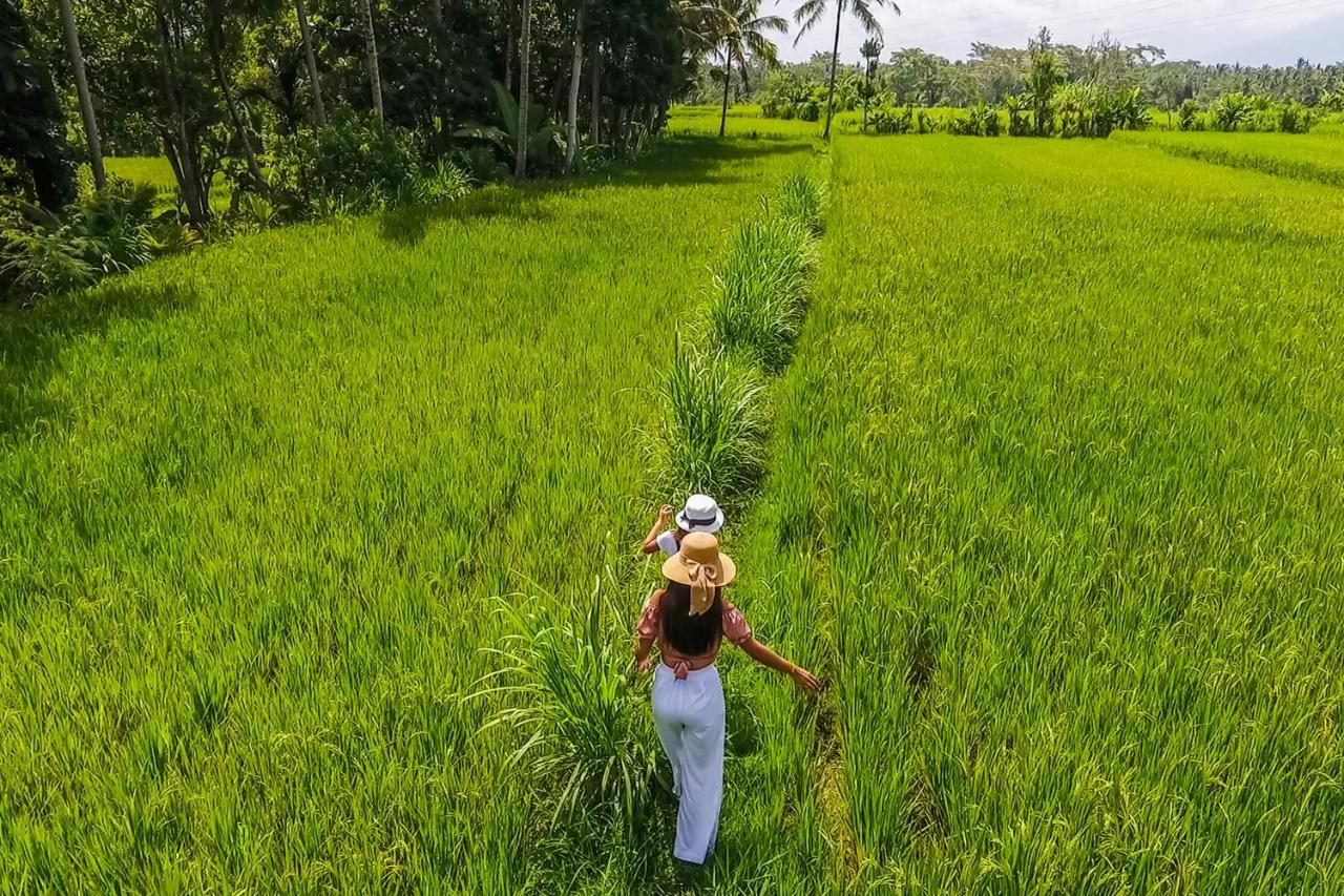 Puri Lumbung Village Payangan Exteriör bild